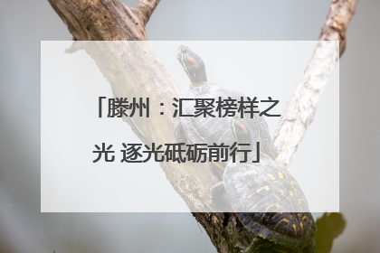 滕州：汇聚榜样之光 逐光砥砺前行