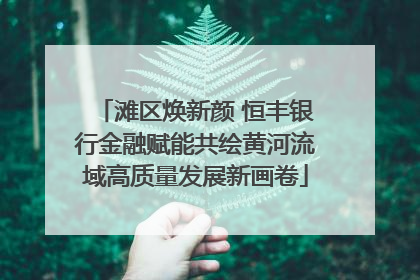 滩区焕新颜 恒丰银行金融赋能共绘黄河流域高质量发展新画卷