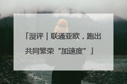漫评｜联通亚欧，跑出共同繁荣“加速度”