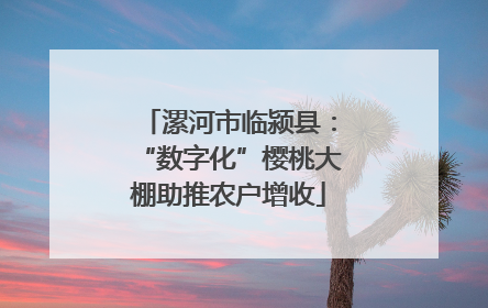 漯河市临颍县：“数字化”樱桃大棚助推农户增收