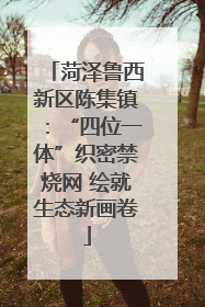 菏泽鲁西新区陈集镇：“四位一体”织密禁烧网 绘就生态新画卷