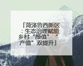 菏泽鲁西新区：生态治理赋能乡村“颜值”“产值”双提升