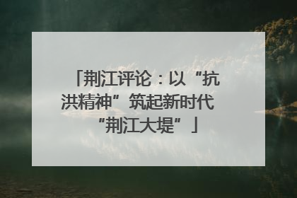 荆江评论：以“抗洪精神”筑起新时代“荆江大堤”