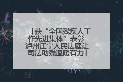 获“全国残疾人工作先进集体”表彰 泸州江宁人民法庭让司法助残温暖有力