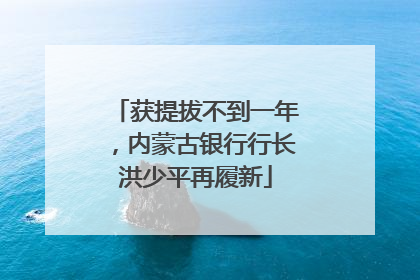 获提拔不到一年，内蒙古银行行长洪少平再履新