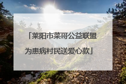 莱阳市菜哥公益联盟为患病村民送爱心款