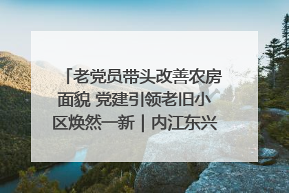 老党员带头改善农房面貌 党建引领老旧小区焕然一新｜内江东兴“红”在哪？④