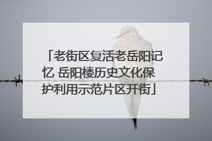 老街区复活老岳阳记忆 岳阳楼历史文化保护利用示范片区开街