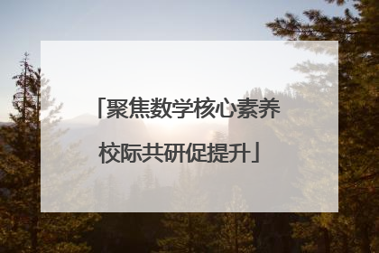 聚焦数学核心素养 校际共研促提升