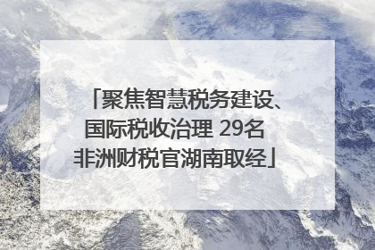 聚焦智慧税务建设、国际税收治理 29名非洲财税官湖南取经