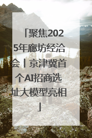 聚焦2025年廊坊经洽会丨京津冀首个AI招商选址大模型亮相