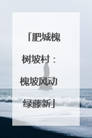 肥城槐树坡村：槐坡风动绿藤新