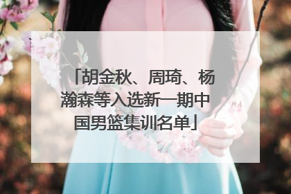 胡金秋、周琦、杨瀚森等入选新一期中国男篮集训名单