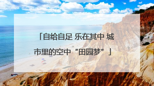 自给自足 乐在其中 城市里的空中“田园梦”