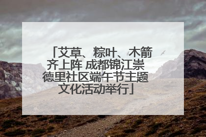 艾草、粽叶、木箭齐上阵 成都锦江崇德里社区端午节主题文化活动举行
