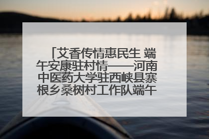 艾香传情惠民生 端午安康驻村情——河南中医药大学驻西峡县寨根乡桑树村工作队端午中医惠民记