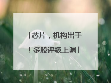 芯片，机构出手！多股评级上调
