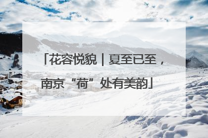 花容悦貌｜夏至已至，南京“荷”处有美韵