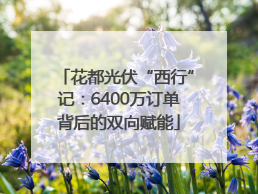 花都光伏“西行”记：6400万订单背后的双向赋能