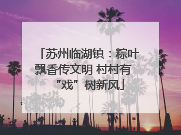 苏州临湖镇：粽叶飘香传文明 村村有“戏”树新风