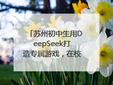 苏州初中生用DeepSeek打造专属游戏，在校园里火了！