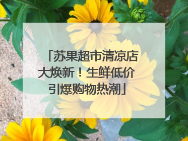 苏果超市清凉店大焕新！生鲜低价引爆购物热潮