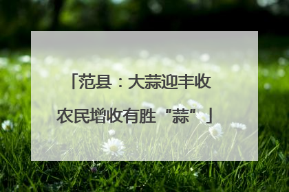 范县：大蒜迎丰收 农民增收有胜“蒜”