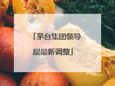 茅台集团领导层最新调整