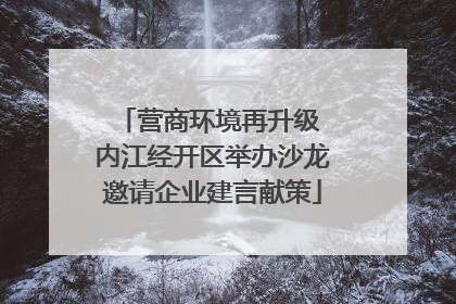 营商环境再升级 内江经开区举办沙龙邀请企业建言献策