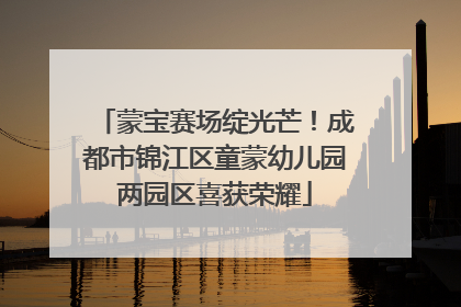 蒙宝赛场绽光芒！成都市锦江区童蒙幼儿园两园区喜获荣耀