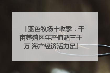 蓝色牧场丰收季：千亩养殖区年产值超三千万 海产经济活力足