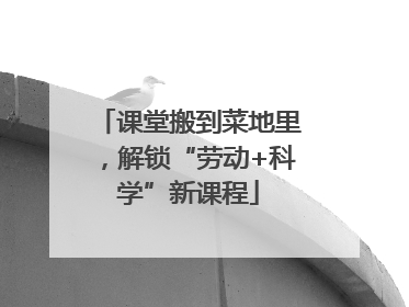 课堂搬到菜地里，解锁“劳动+科学”新课程