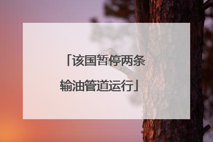 该国暂停两条输油管道运行