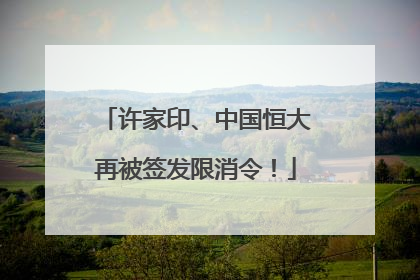 许家印、中国恒大再被签发限消令！