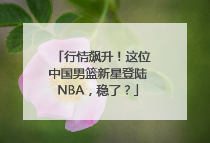 行情飙升！这位中国男篮新星登陆NBA，稳了？