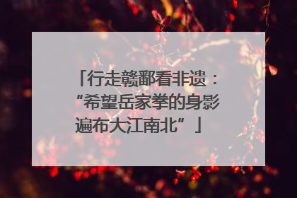 行走赣鄱看非遗：“希望岳家拳的身影遍布大江南北”
