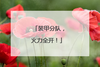 装甲分队，火力全开！