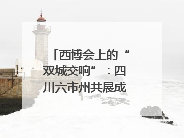西博会上的“双城交响”：四川六市州共展成渝协同发展画卷｜西博视界