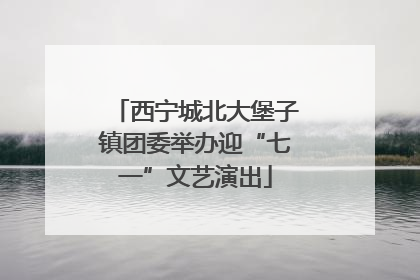 西宁城北大堡子镇团委举办迎“七一”文艺演出