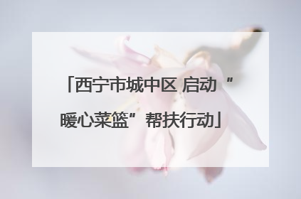 西宁市城中区 启动“暖心菜篮”帮扶行动