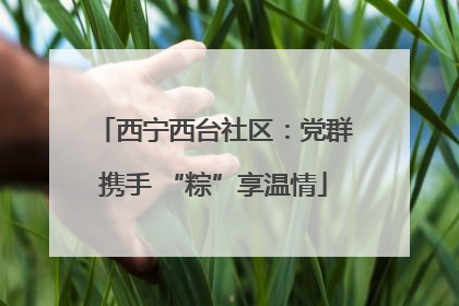 西宁西台社区：党群携手 “粽”享温情