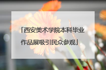 西安美术学院本科毕业作品展吸引民众参观