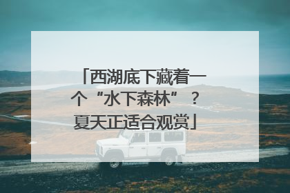 西湖底下藏着一个“水下森林”？夏天正适合观赏