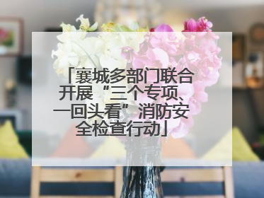 襄城多部门联合开展“三个专项、一回头看”消防安全检查行动
