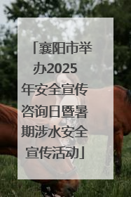襄阳市举办2025年安全宣传咨询日暨暑期涉水安全宣传活动