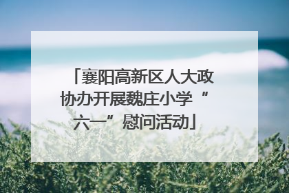 襄阳高新区人大政协办开展魏庄小学“六一”慰问活动
