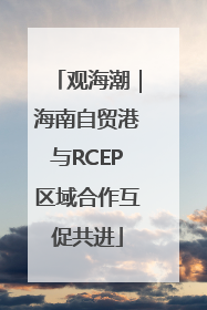 观海潮｜海南自贸港与RCEP区域合作互促共进