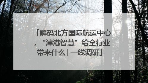 解码北方国际航运中心，“津港智慧”给全行业带来什么│一线调研