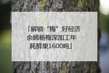 解锁“梅”好经济 余姚杨梅深加工年耗鲜果1600吨