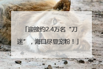 迎接约2.4万名“刀迷”，海口尽显宠粉！